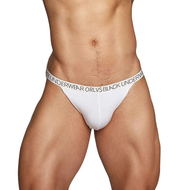 CMENIN Modal Sexy Man's Underwear Briefs Underpants Low waist Men's Briefs Bikini Gay Underwear Male Underwear Cueca OR6102