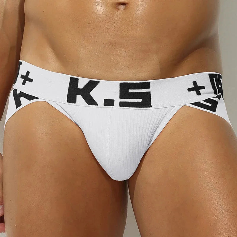 Male Underwear Cueca Masculina Ropa Interior Hombre Sexy Men Underpants Slip Homme Briefs