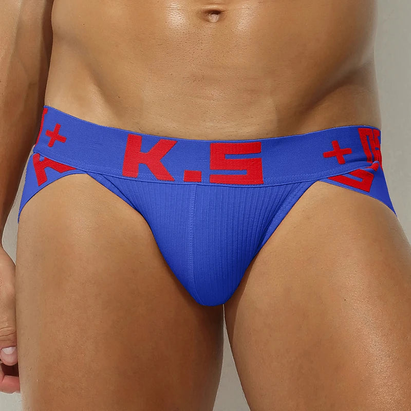 Male Underwear Cueca Masculina Ropa Interior Hombre Sexy Men Underpants Slip Homme Briefs