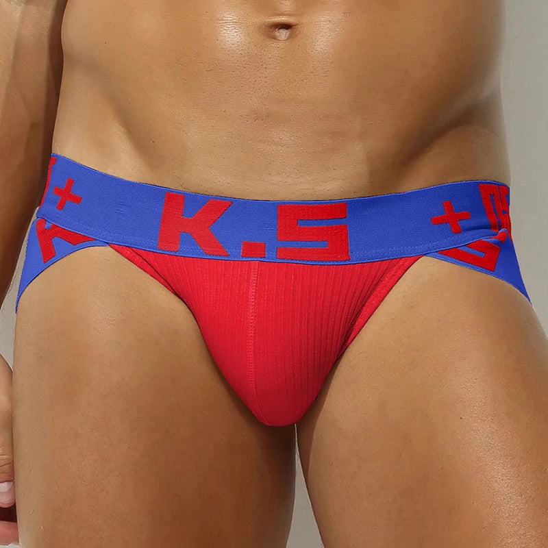 Male Underwear Cueca Masculina Ropa Interior Hombre Sexy Men Underpants Slip Homme Briefs